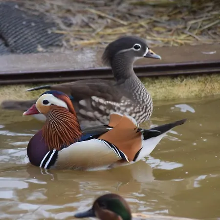 La Bergerie Du Mesnil Livry