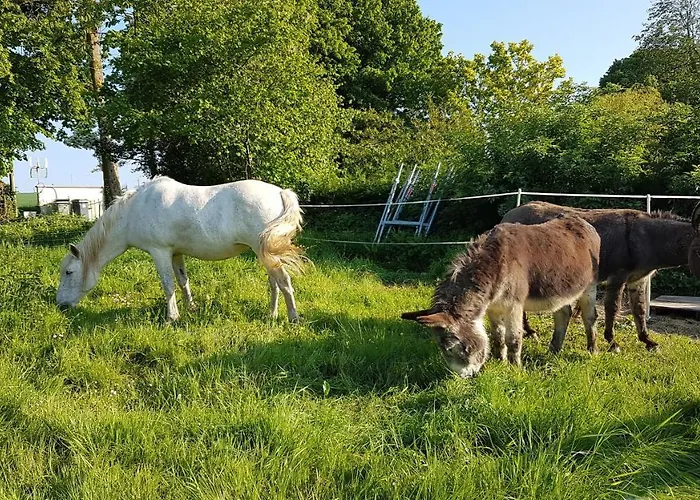 La Bergerie Du Mesnil 3*